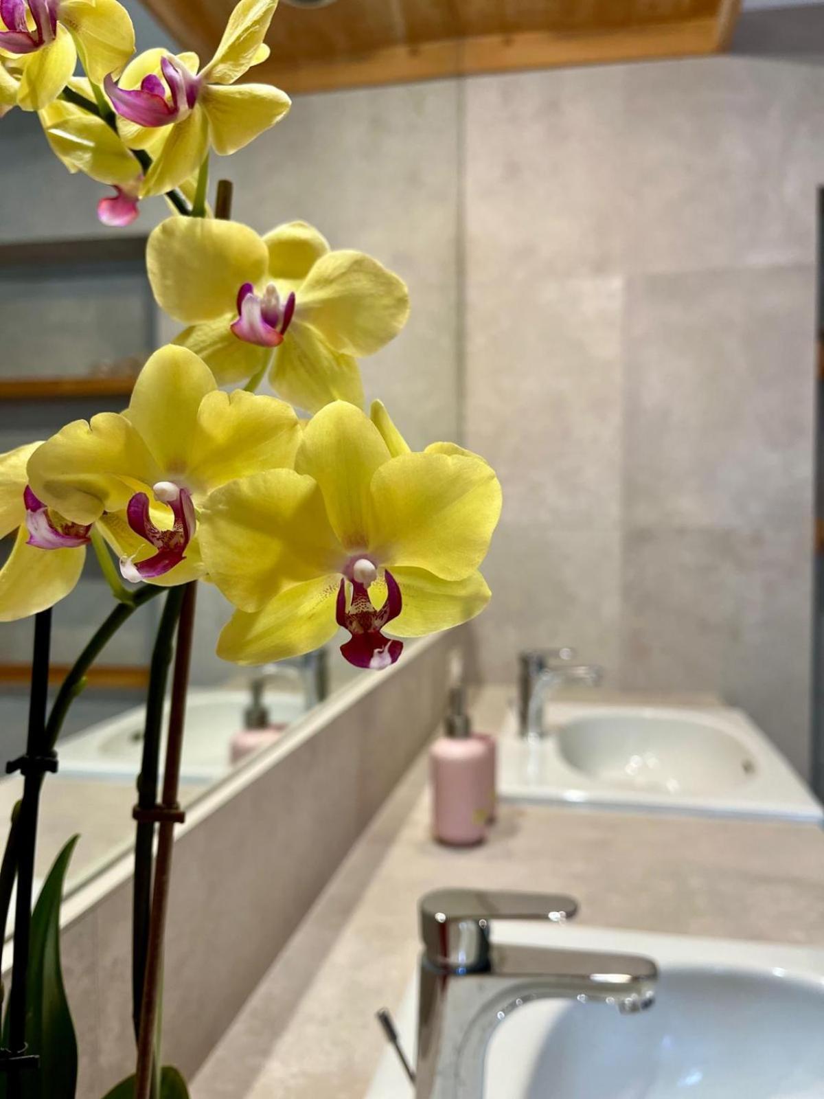 B&B Aria Di Lago Паратико Экстерьер фото